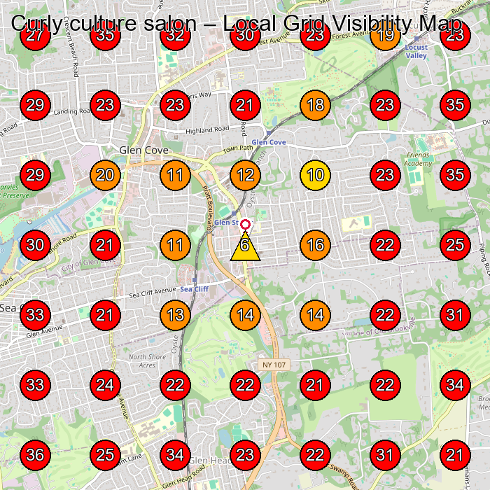 Curly culture salon GeoGrid visibility map for Centro De Esta(C)Tica in Glen Cove